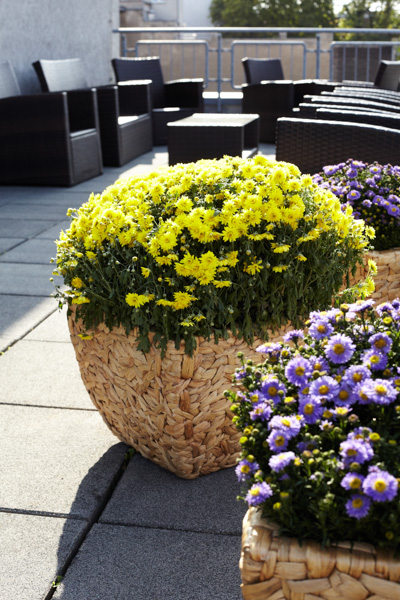 Unser Balkon Unser Balkon